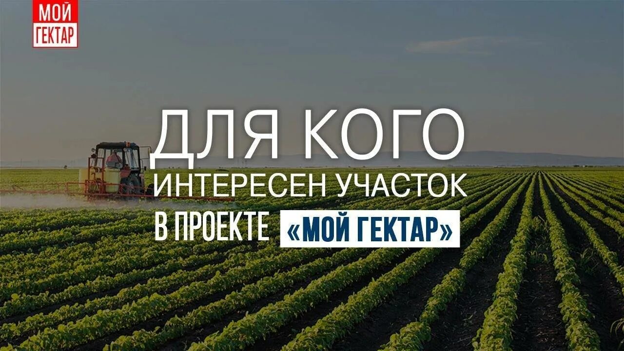 Программа 1 гектар. Мой гектар. мой гектар в подмосковье. проект мой гектар. мой гектар программа в подмосковье.