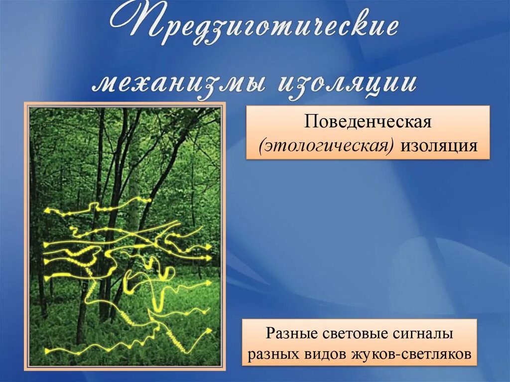 Примеры изоляции в биологии. Предзиготические изолирующие механизмы таблица. Эколого этологическая изоляция. Поведенческая изоляция. Изолирующие механизмы поведенческая изоляция.