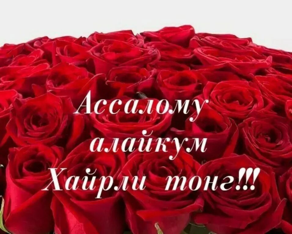 Тунингиз хайирли утсин. Ва алайкум хаерли тонг картинами. Салам алейкум хайрли тонг. Ассаломуалайкум хайрли тонг. Ассаламу алейкум кайрли кун.