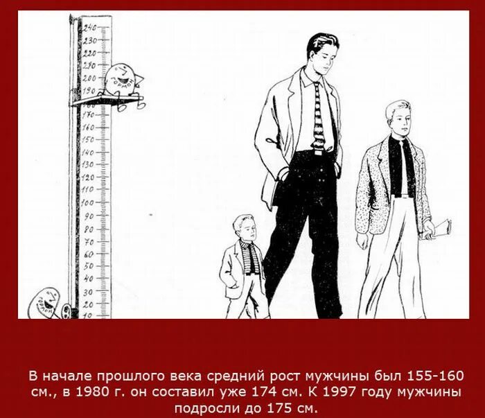 Рост человека сообщения. Интересные факты о мужчинах. Средний рост. Средний рост мужчины. Рост людей в прошлом.