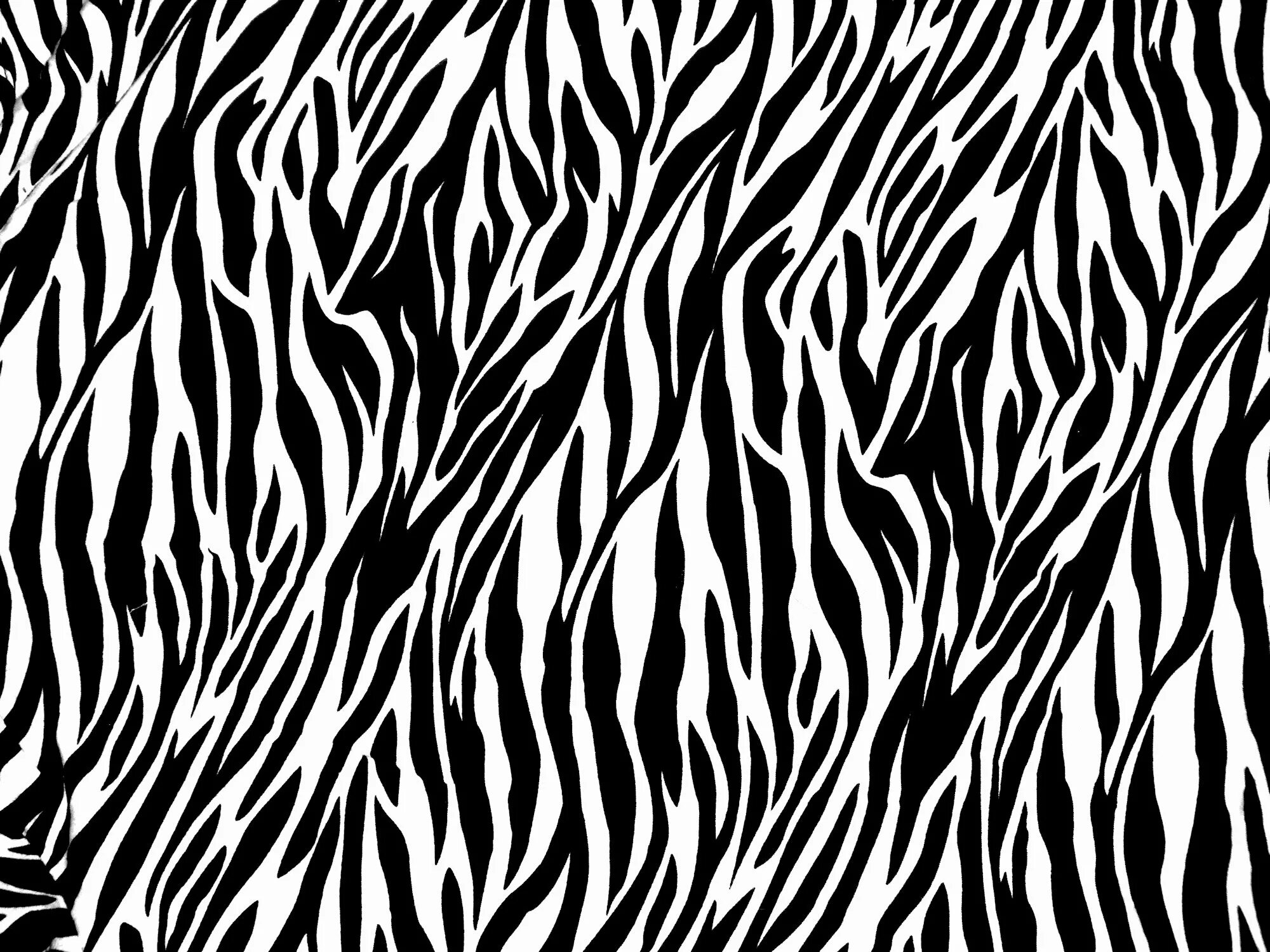 Animal pattern