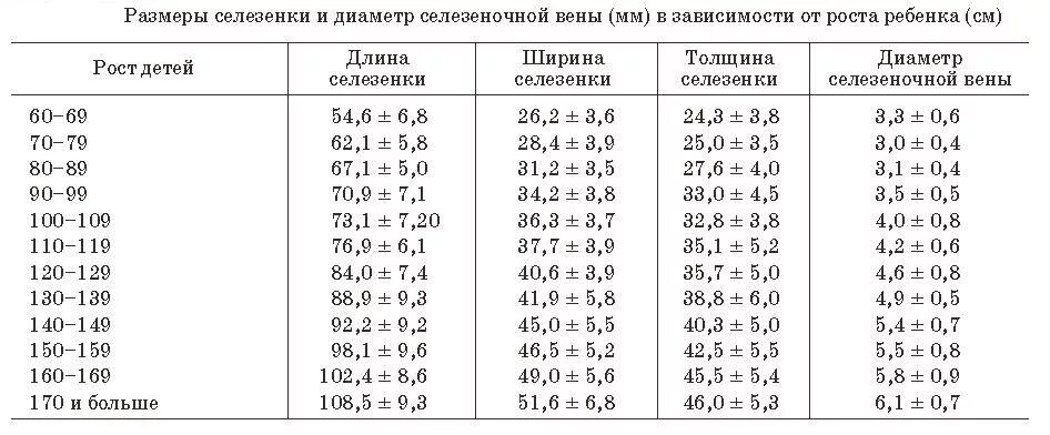 Увеличена селезенка размеры