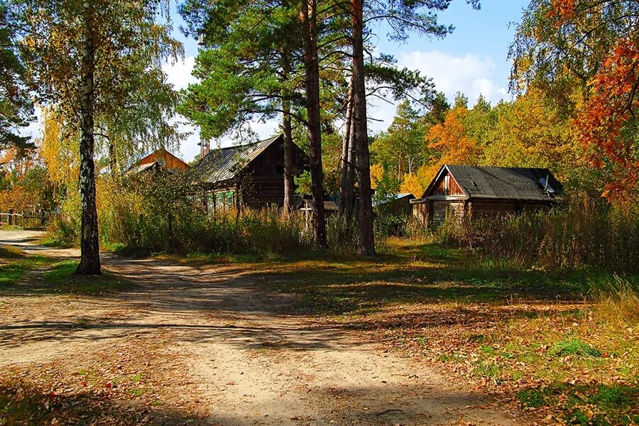 Слава жил возле леса и часто. Деревня сибирской глубинки.. Деревня глубинка Тверская область. Деревенька в лесу, посёлок Быково. Деревни России глухомань.