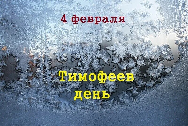 Святая 4 февраля. 4 Февраля день. Тимофеев день 4 февраля.