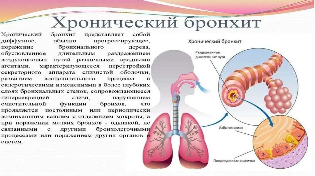 Дыхание при хроническом бронхите. При поражении крупных и средних бронхов при хроническом бронхите. Острый и хронический бронхит. Хронический воспалительный процесс в бронхах.