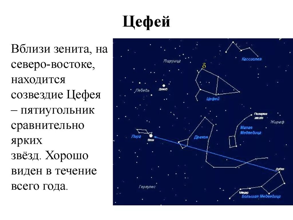Созвездие в любое время года. Созвездие Цефей самая яркая звезда. Звезды в созвездии Цефея. Самая яркая звезда в созвездии Кассиопея. Кассиопея и Цефей звезды.
