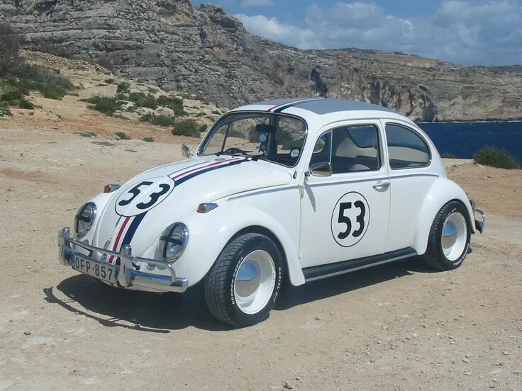 34 bug