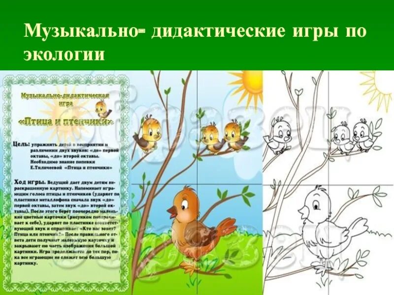 Цель дидактической игры по экологии. Музыкально-дидактическая птица и птенчики. Игра птицы и птенчики. Музыкальная игра птица и птенчики. Музыкальная дидактическая игра птицы и птенчики.