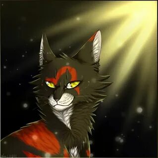 Коты воители сол