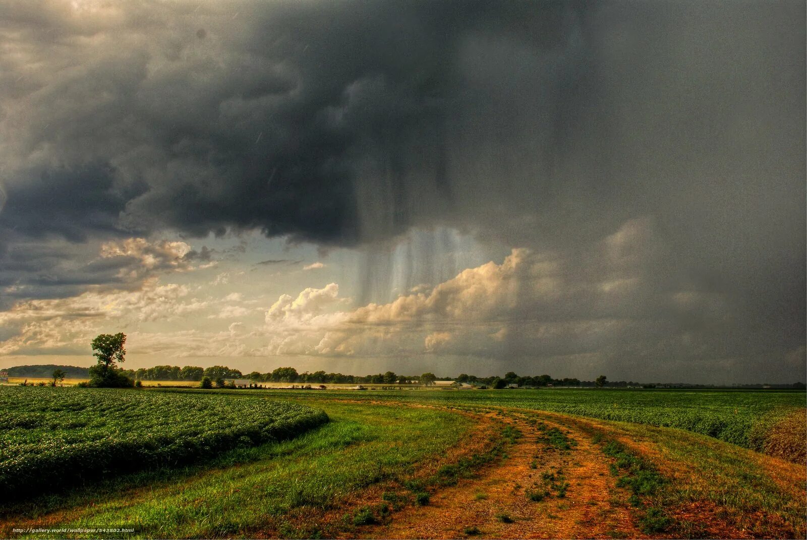 значение фразеологизма мрачные тучи. грозовые тучи. грозовое небо. значение фразеологизма мрачные тучи. значение фразеологизма мрачные тучи.