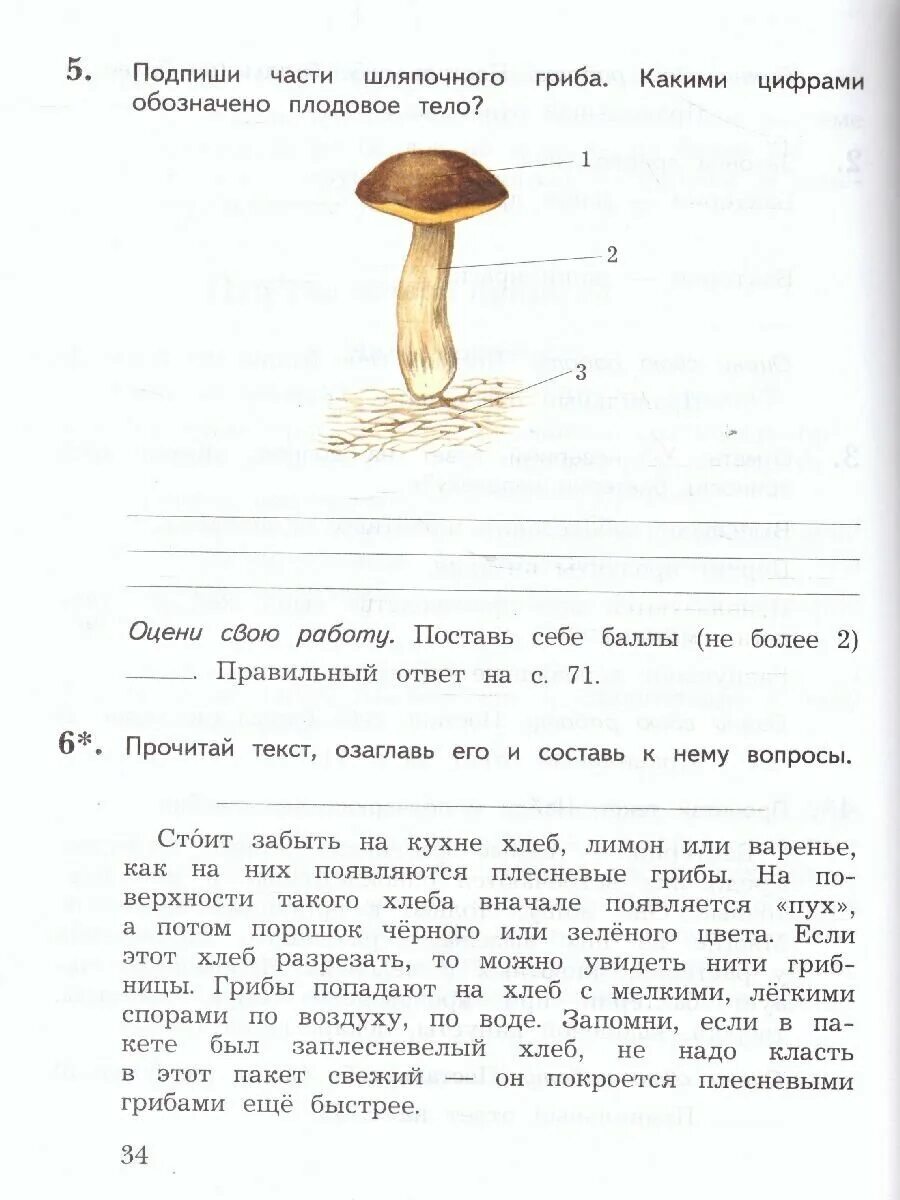 Окружающий мир 3 класс виноградова проверочные. Окружающий мир 2 класс тетрадь для проверочных работ Виноградова. Окружающий мир 3 класс тетрадь для проверочных работ Виноградова. Окружающий мир 3 класс тетрадь для проверочных работ. Тетрадь для проверочных работ Виноградова 2 класс.