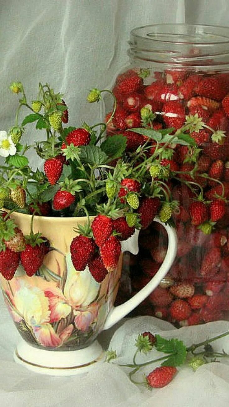 Хорошего дня фрукты. Цветы и ягоды. Доброе утро ягоды. Доброе утро с фруктами и ягодами. Клубника.