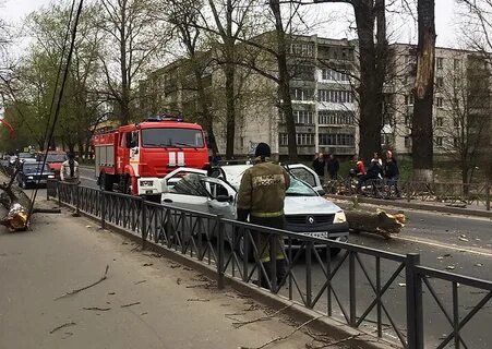 Новости спб и ленинградской
