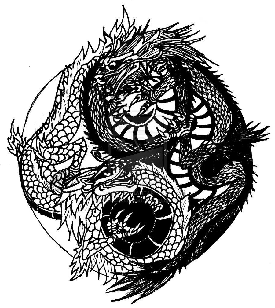 Дракон инь янь эскиз. Эскиз дракона инь янь тату. Татуировка инь янь с драконом. Дракон инь янь. Китайский дракон инь янь.