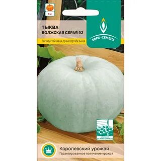 Тыква волжская серая