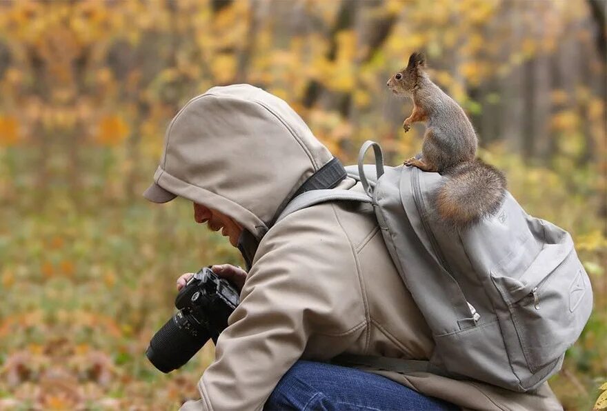 Забавные ситуации с животными. Фотоохота на животных. Прикольные фото на природе. Смешная природа. Утро природа животное.