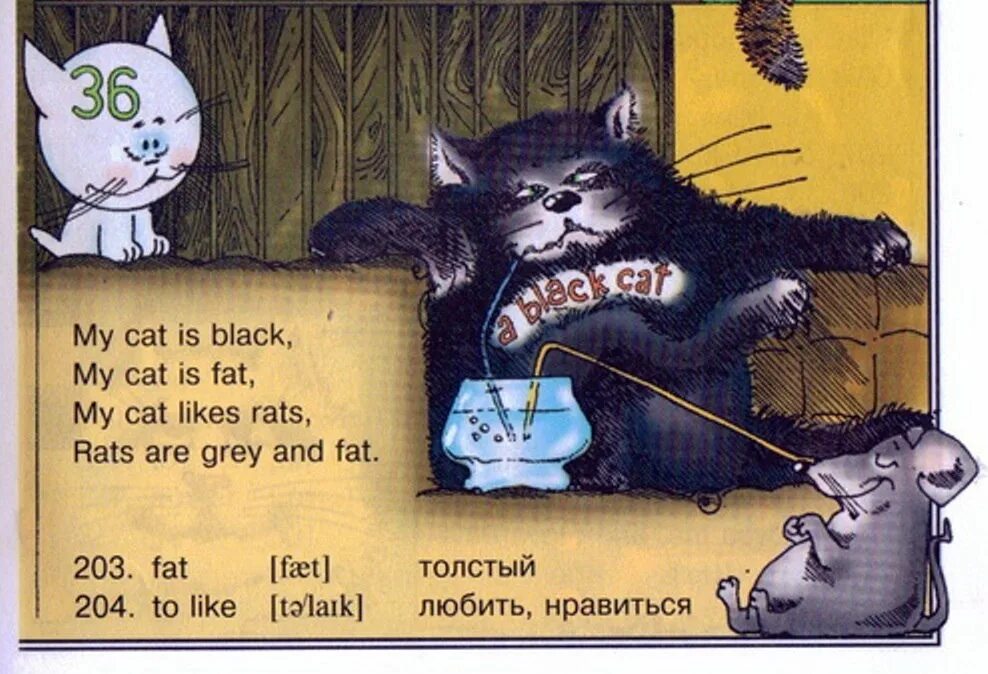 It s my cat. Стих my Cat is Black my Cat is fat. Стишок i like my Cat. Скороговорка на английском my Cat is Black. Толстый английский кот.