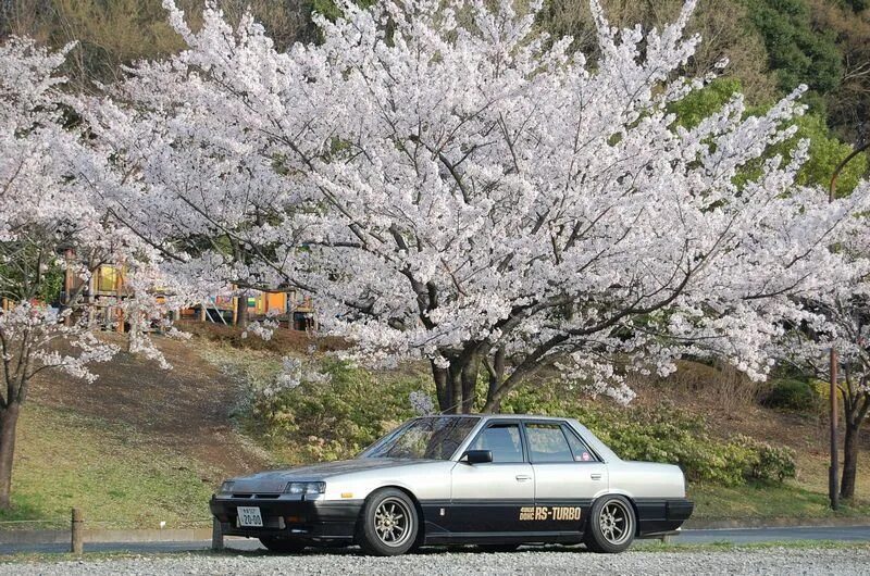 Сакура ниссан. Nissan Sakura. Японский JDM Сакура.