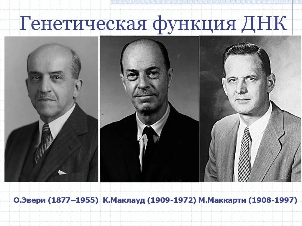 Генетик функции