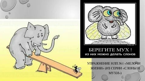 Белые мухи фразеологизм значение