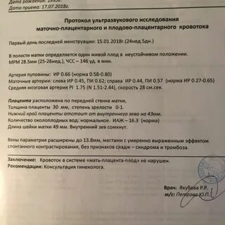 11 недель беременности плацента