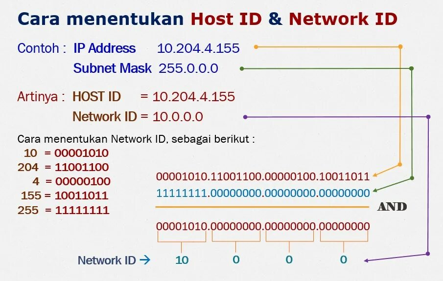 Network ID. Host ID. Net ID. Десятичный идентификатор host.ID.