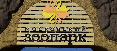 Зоопарк москва 2024
