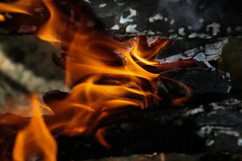 лесные пожары из за окурков. 5 огня в манаре. огонь 5 антрацит. огонь 5 антрацит. огонь взрыв.