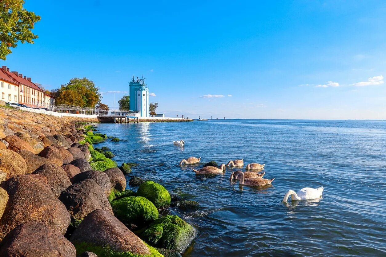 Калининград - маяк балтийск. Пиллау калининград. Балтийское море куршская коса. Калининград балтийская коса маяк. Г.
