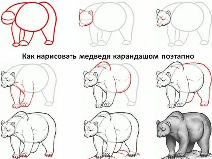 Как рисуется медведь