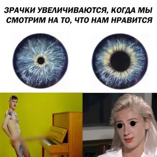Pis см