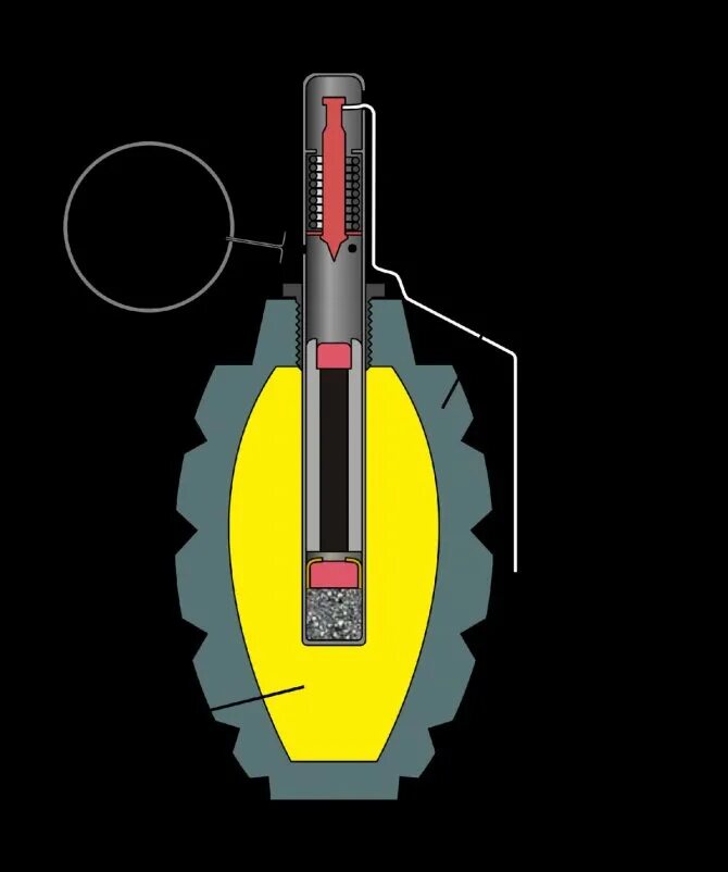 Граната ф1 взрыватель. Взрыватель гранаты ф1 в разрезе. Граната ф1 строение. Граната Лимонка ф1.
