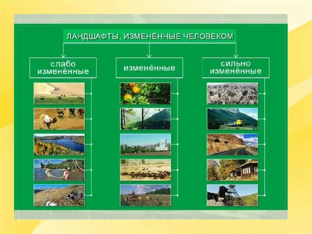 Ландшафт биология 5 класс. Антропогенные природные комплексы. Природно-антропогенные ландшафты. Природные и природно-антропогенные ландшафты. Виды антропогенных ландшафтов.