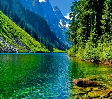 Красивые картинки природа на заставку телефона вертикальные