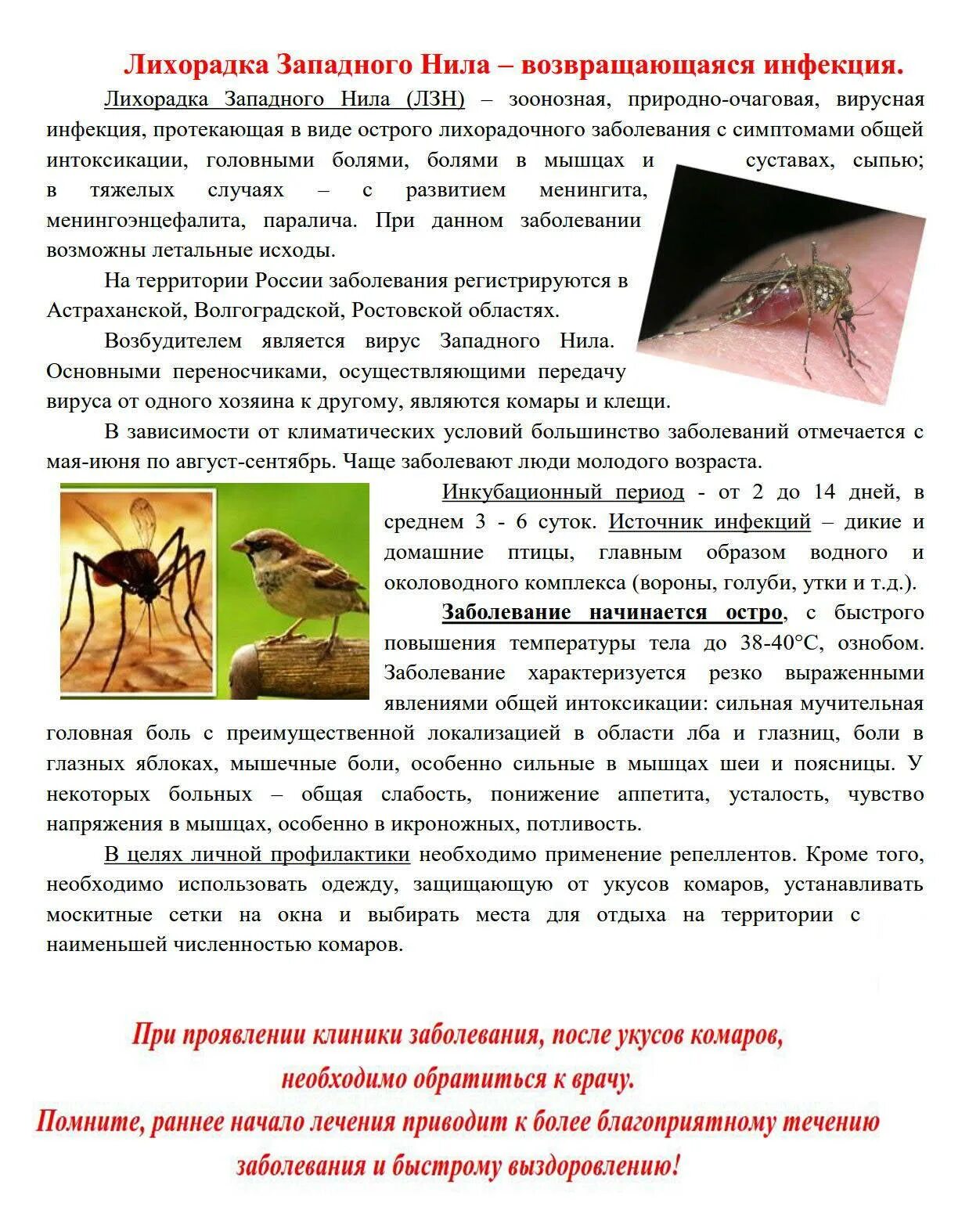 Лихорадка содержание. Лихорадка содержание