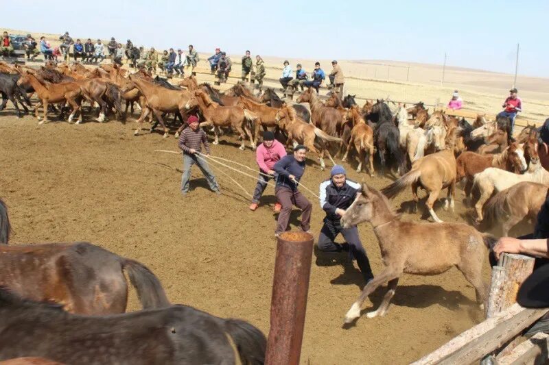 Погода ортуй. Даага Дэллээн. Ортуй Могойтуйский район. Достопримечательности Могойтуйского района. Цаган-Ола Могойтуйский район.