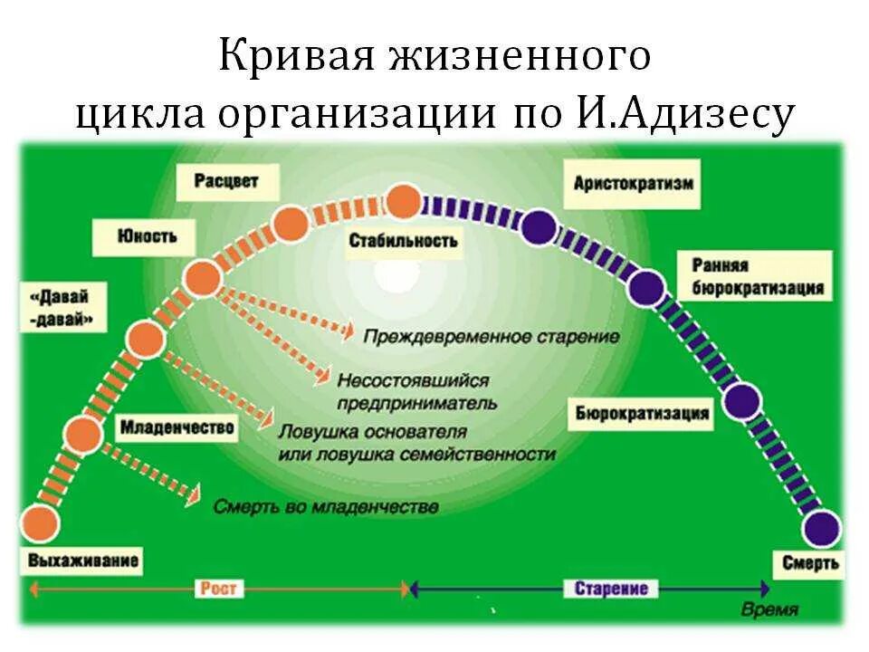 Жизненный цикл цели. Модели жцо. адизес этапы жизненного цикла организации. стадий жизненного цикла организации, по и. адизесу. модель жизненного цикла ицхака адизеса.