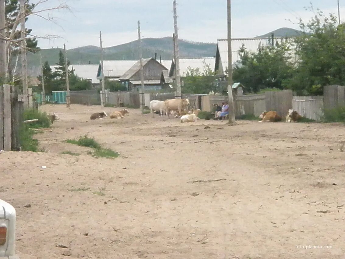 Погода в районе большевик. Село Куранжа Ононский район. Халтуй Забайкальский край. Село Куранжа Забайкальский край. Село Большевик Ононский район Забайкальский край.