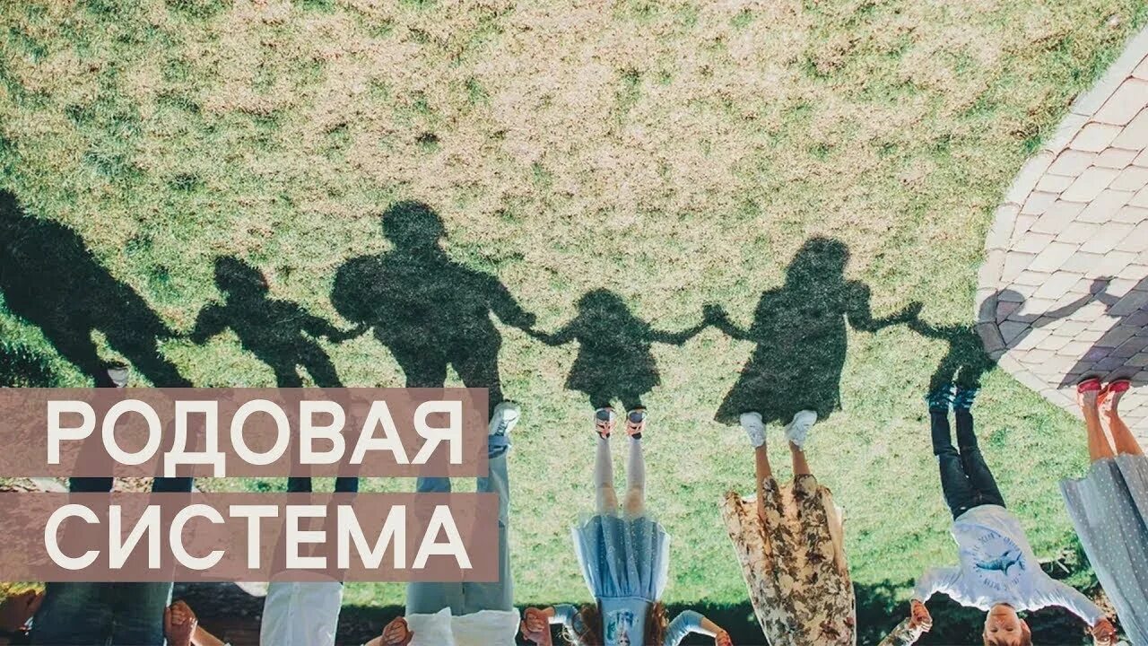 Образ мирового дерева. Сила рода. Чистка рода. Родовые свобода. Древо жизни сила рода.