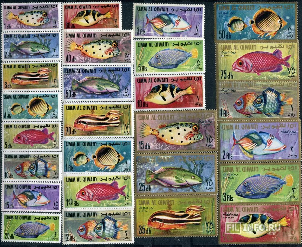 Рыбы персидского залива. Рыбы Персидского залива таблица. Название рыб Персидского залива. Съедобная рыба Персидского залива.