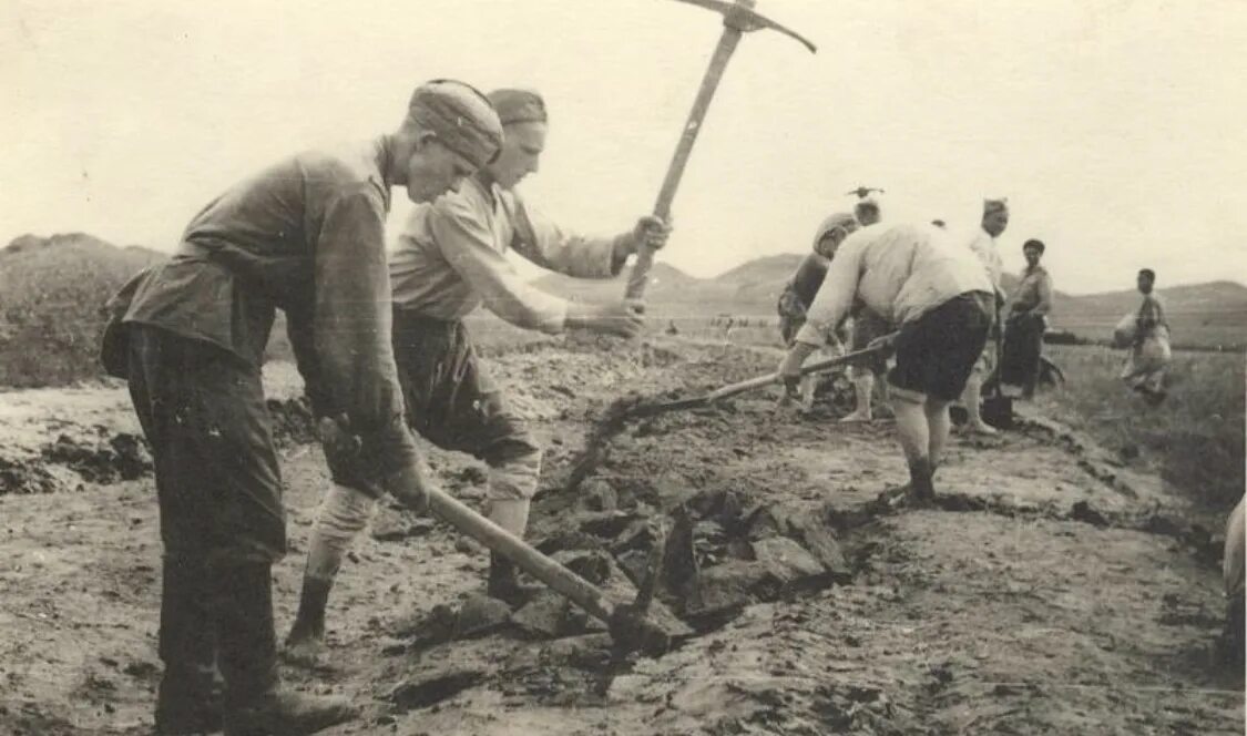 Рыть рвы. Лето 1941 рытье противотанковых рвов. блокада ленинграда дети роют окопы. сурский оборонительный рубеж 1941. солдаты копают окопы вов.