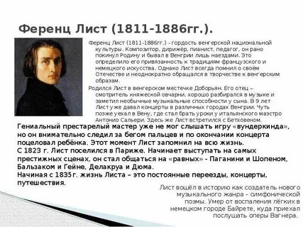 История жизни листа