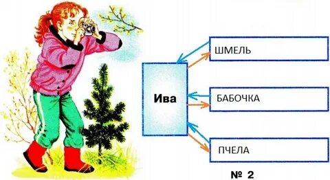 Невидимые схемы в осеннем лесу примеры