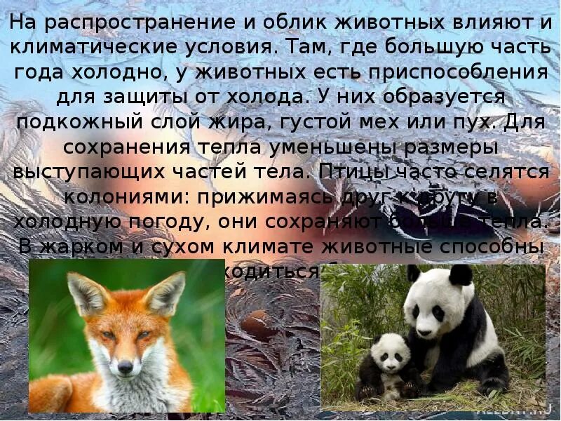 Закономерности распространения живых организмов на земле 6. Распространение организмов в мировом океане. Закономерности распространения растений и животных. Распространение организмов в мировом океане. Предмет биогеографии.