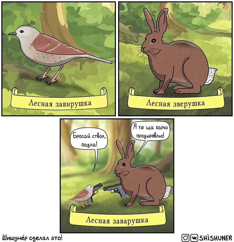 Заяц комикс. Комиксы про Зайцев. Смешные комиксы про зайца. Шутки про Зайцев. Заварушка это