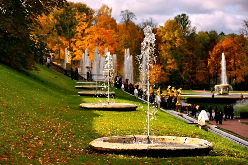 Панорама: Фонтан Французский, фонтан, Санкт-Петербург, Петергоф, Нижний парк - Я