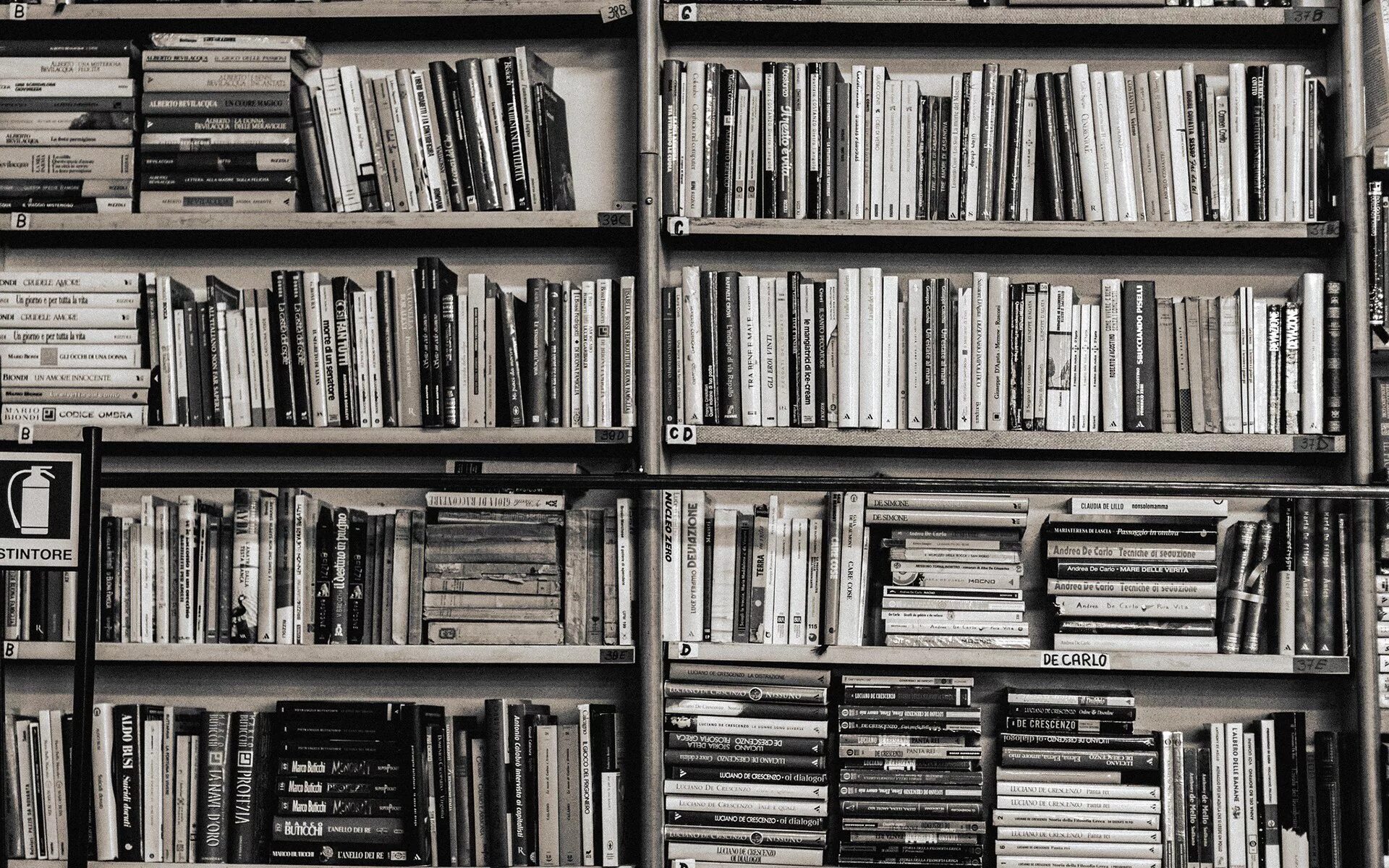 Книжный архив бесплатных электронных