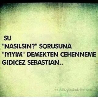 Sen nasilsin