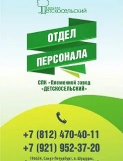 Номер спк