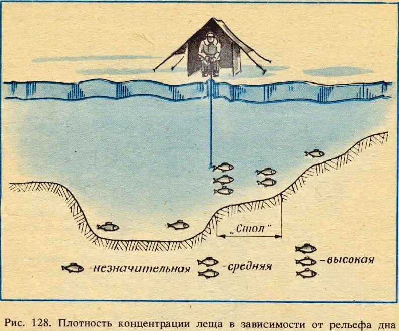 Глубина заложения подошвы ростверка. Глубина резания на токарном станке. Дренаж мелкого заложения. Глубина заложения фундамента 1м. Выбор мечта для рыбалки на реке.